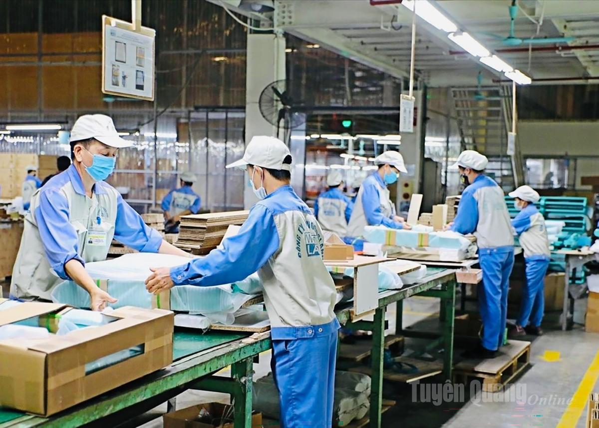 Công nhân Công ty Cổ phần Woodsland Tuyên Quang sản xuất gỗ xuất khẩu.