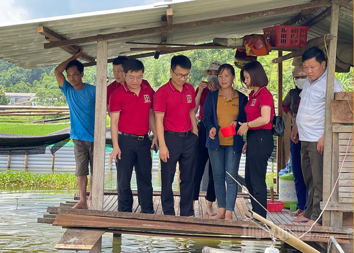 Cán bộ Agribank thẩm tra dự án sản xuất nông nghiệp tuần hoàn tại xã Hòa An.