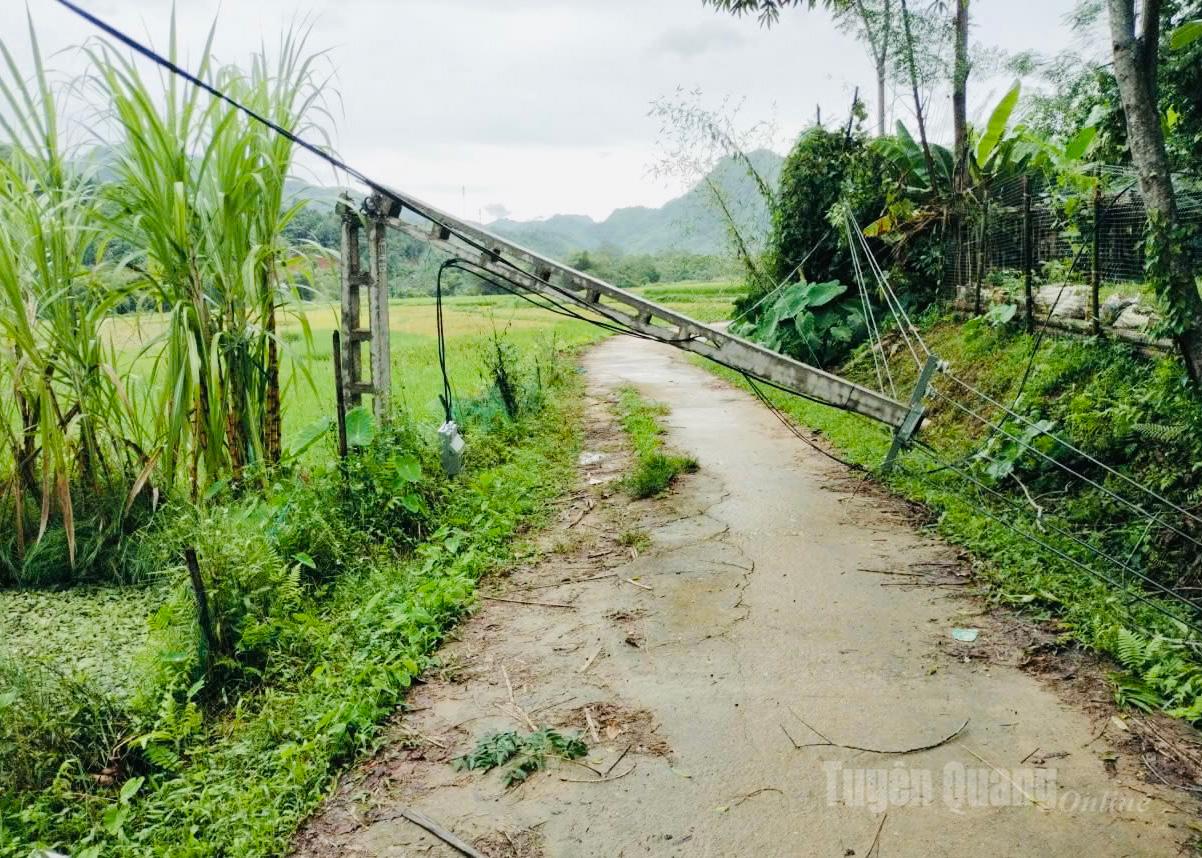 Cột điện gãy đổ gây mất điện cục bộ.