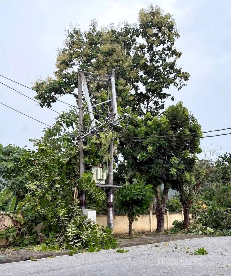 Do ảnh hưởng của cơn bão số 10, trong các ngày 28 và 29-9, tại khu vực phía Bắc tỉnh Tuyên Quang đã xuất hiện mưa to kèm gió mạnh, gây nhiều thiệt hại về nhà cửa, hoa màu và hạ tầng.