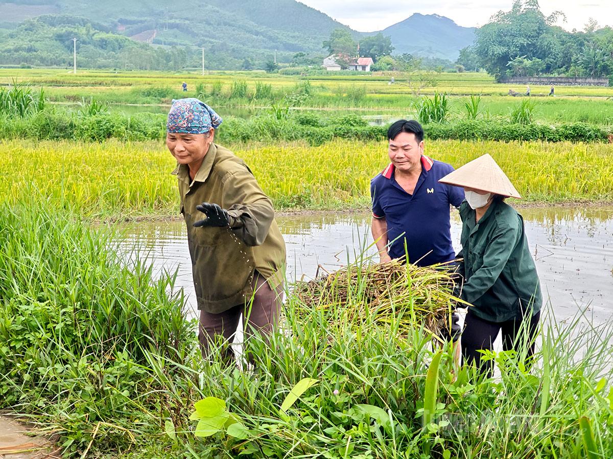 Bí thư Chi bộ, Trưởng thôn Cây Mơ Chu Văn Khánh luôn gần gũi, giúp đỡ người dân.