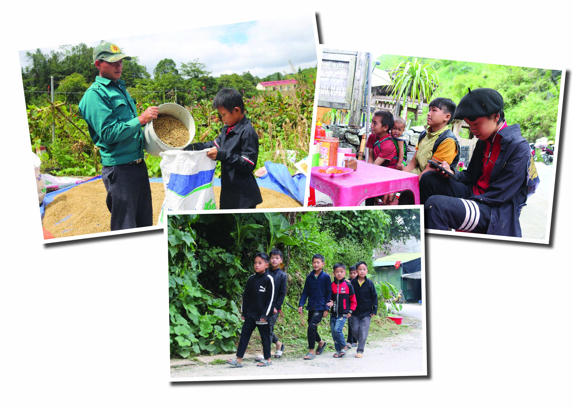 Con đường đến lớp của trẻ em vùng cao không chỉ gian nan bởi núi đèo mà còn bởi gánh nặng mưu sinh, thậm chí có em phải nghỉ học để phụ giúp gia đình.


