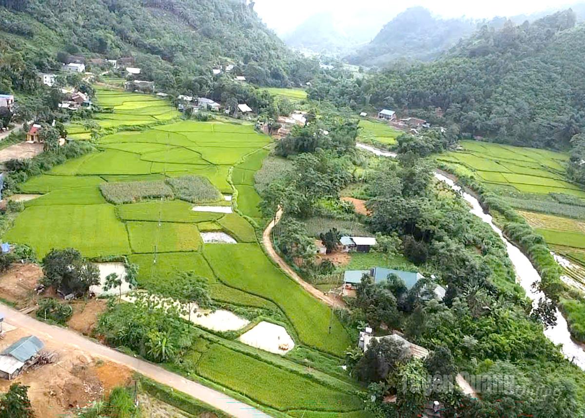 Xã Tri Phú, địa phương bị thiệt hại nặng nề nhất giờ đang được tái thiết trở lại trạng thái ban đầu.