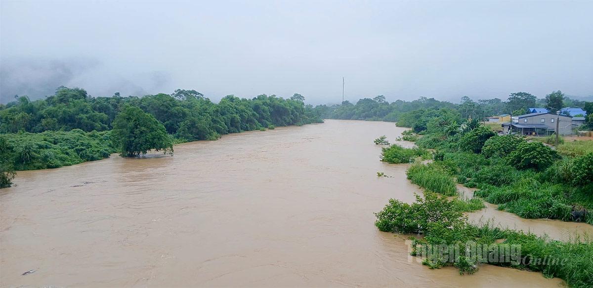 Mực nước trên sông Lô đoạn qua xã Tân Quang đang dâng cao. Ảnh: Hạ Hòa