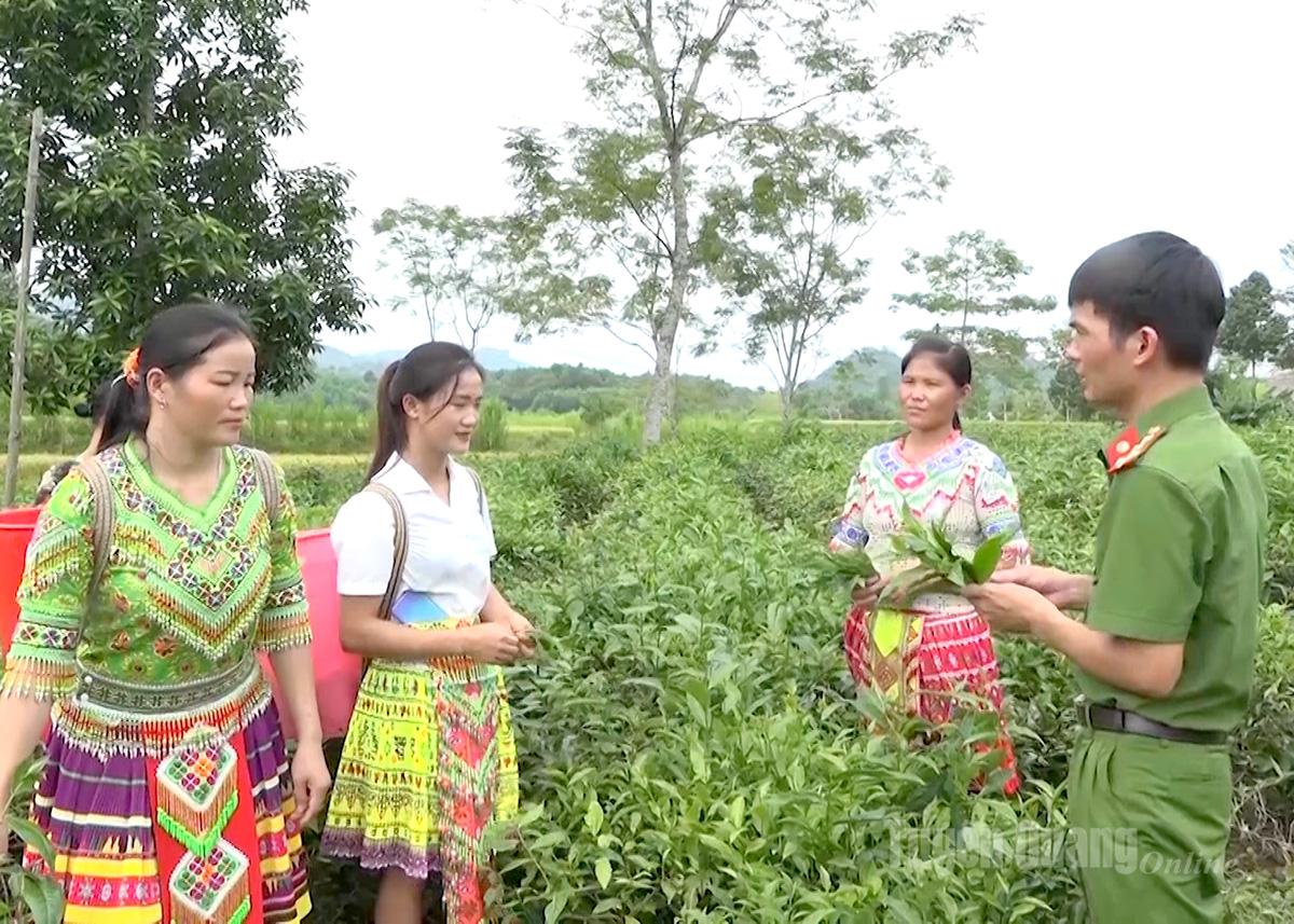 Người dân theo đạo ở thôn Thíp, xã Bằng Hành thi đua lao động sản xuất hướng về Đại hội Đảng bộ tỉnh lần thứ I, nhiệm kỳ 2025-2030.