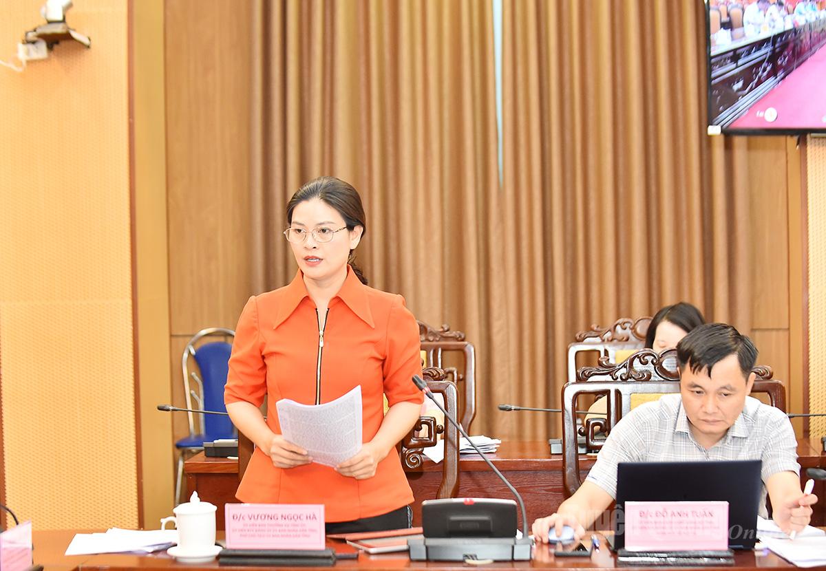 Phó Chủ tịch UBND tỉnh Vương Ngọc Hà phát biểu tại hội nghị.