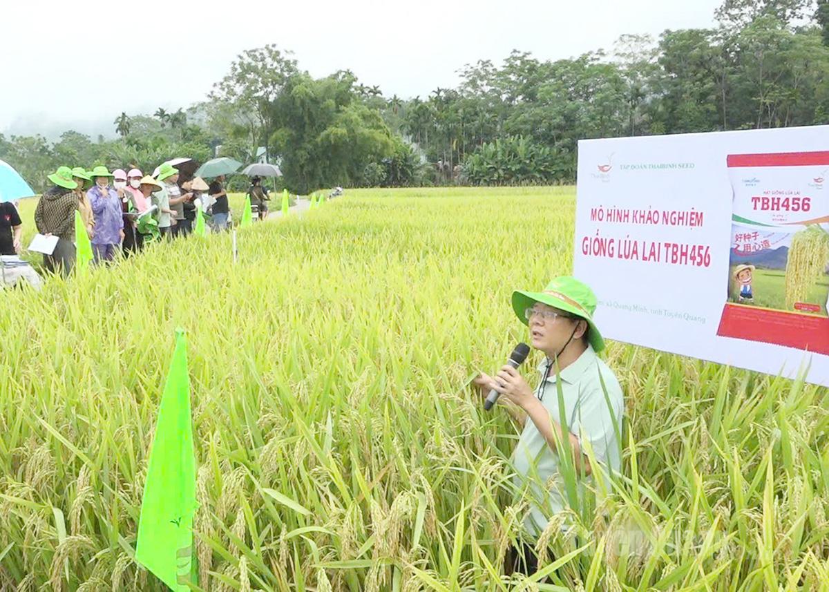 Các đại biểu tại buổi đánh giá giống lúa lai TBH456 tại thôn Hoàng Văn Thụ, xã Bắc Quang.