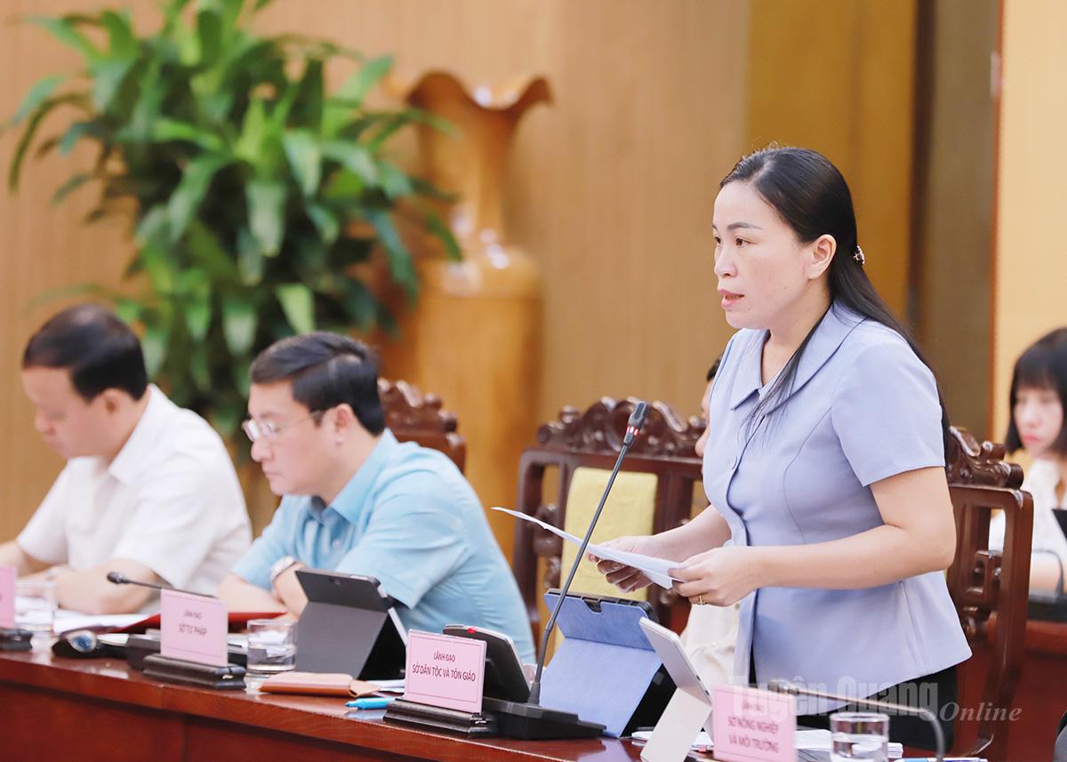  Giám đốc Sở Dân tộc và Tôn giáo Chu Thị Ngọc Diệp đề xuất một số nội dung về nguồn vốn Chương trình mục tiêu quốc gia phát triển kinh tế - xã hội vùng đồng bào dân tộc thiểu số và miền núi.