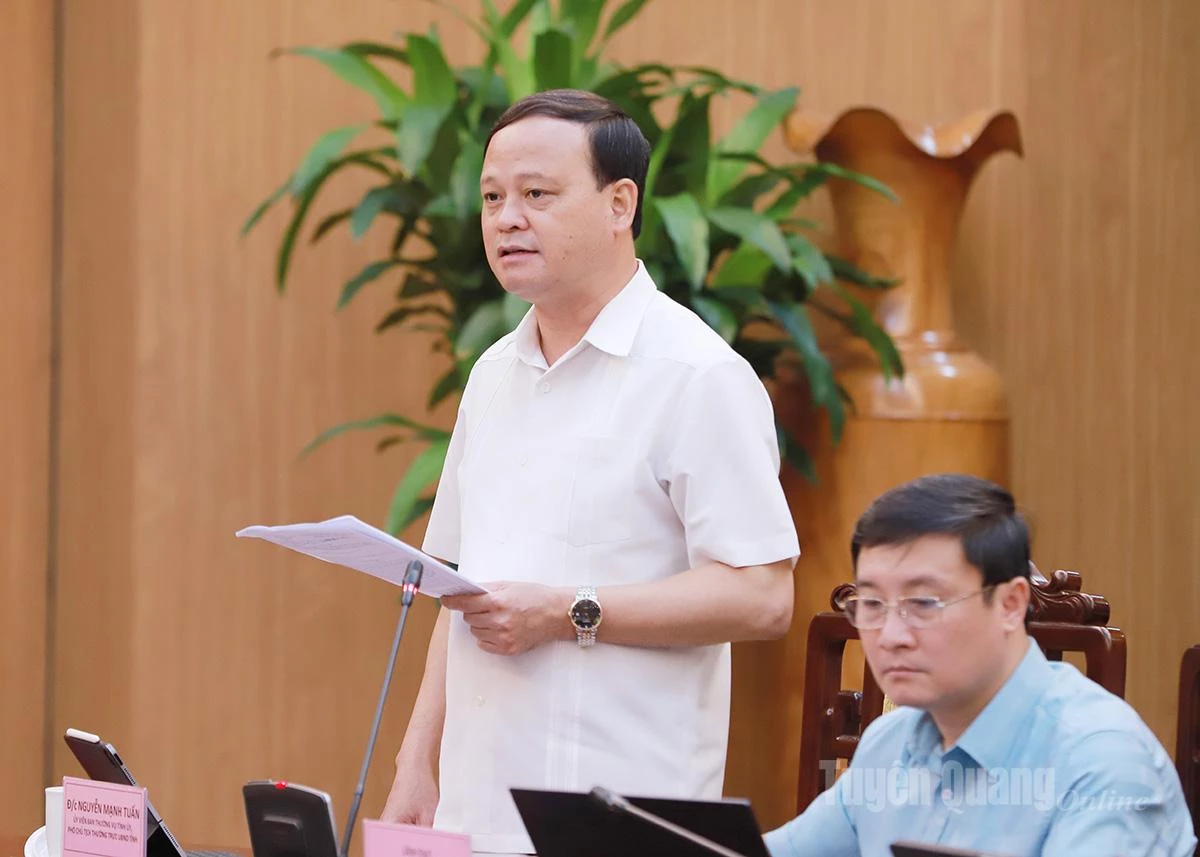 Phó Chủ tịch Thường trực UBND tỉnh Nguyễn Mạnh Tuấn phát biểu tại buổi làm việc.