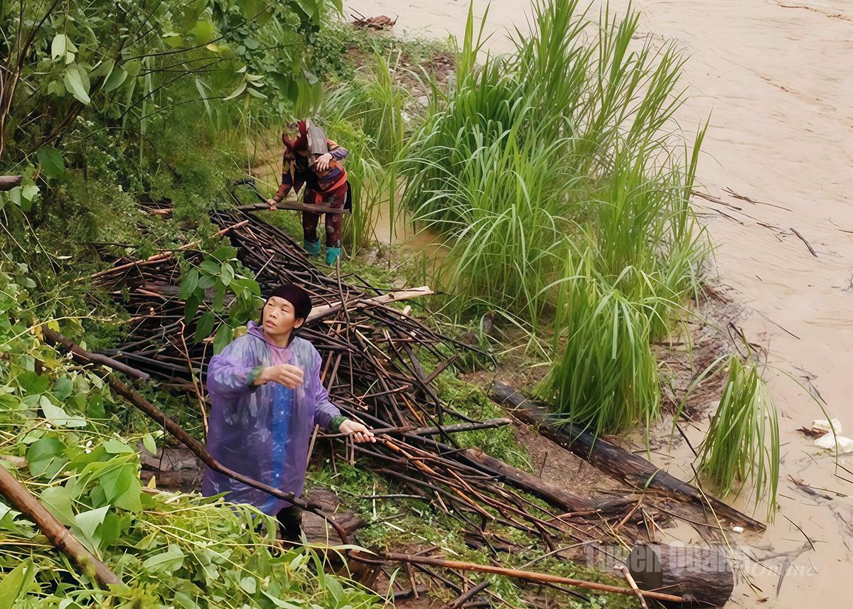 Một số người dân xã Cán Tỷ vẫn xuống ven sông vớt củi, bất chấp dòng nước lũ chảy xiết, tiềm ẩn nhiều nguy hiểm.