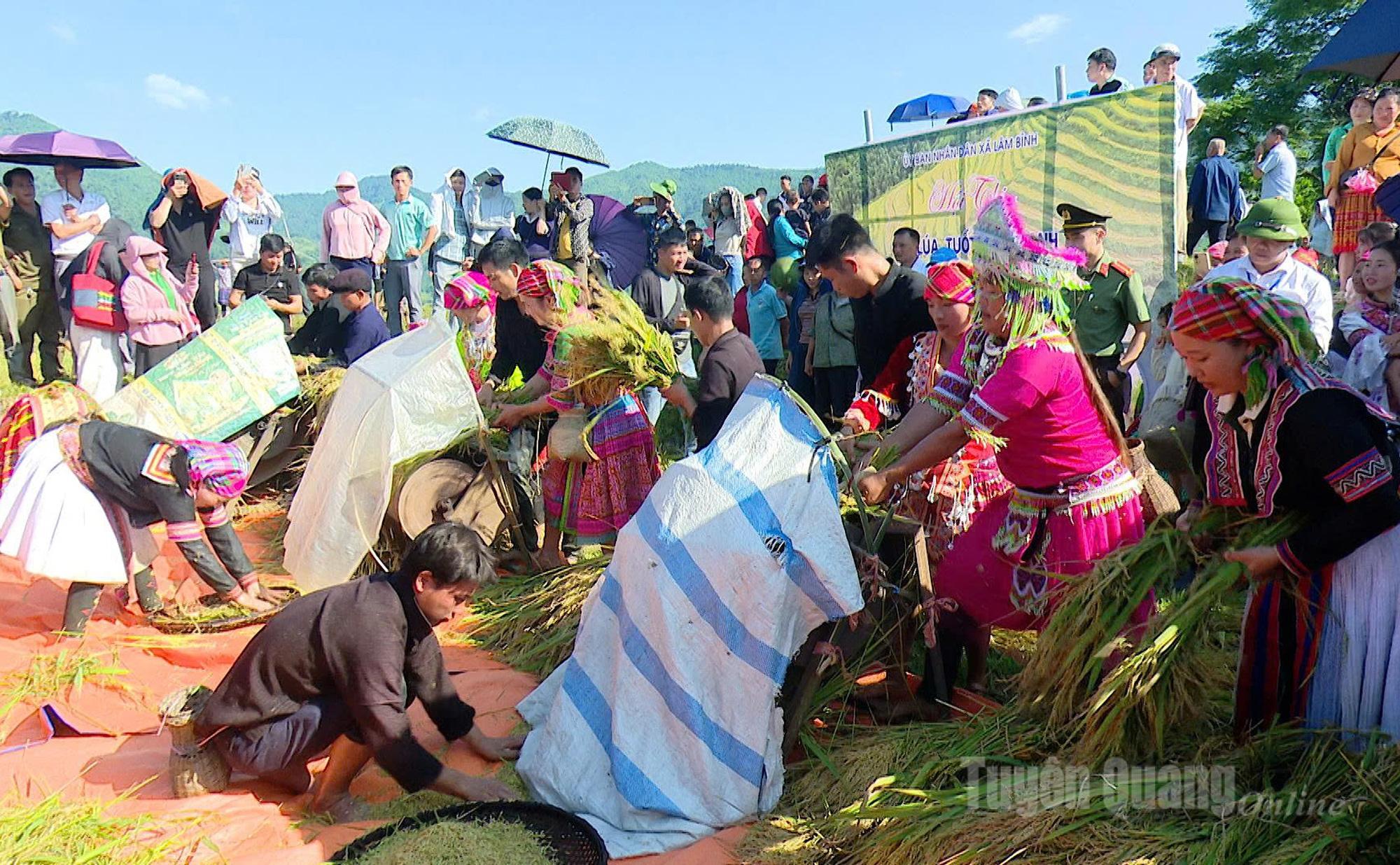 The fast rice threshing contest featured teams from different hamlets of Lam Binh commune.