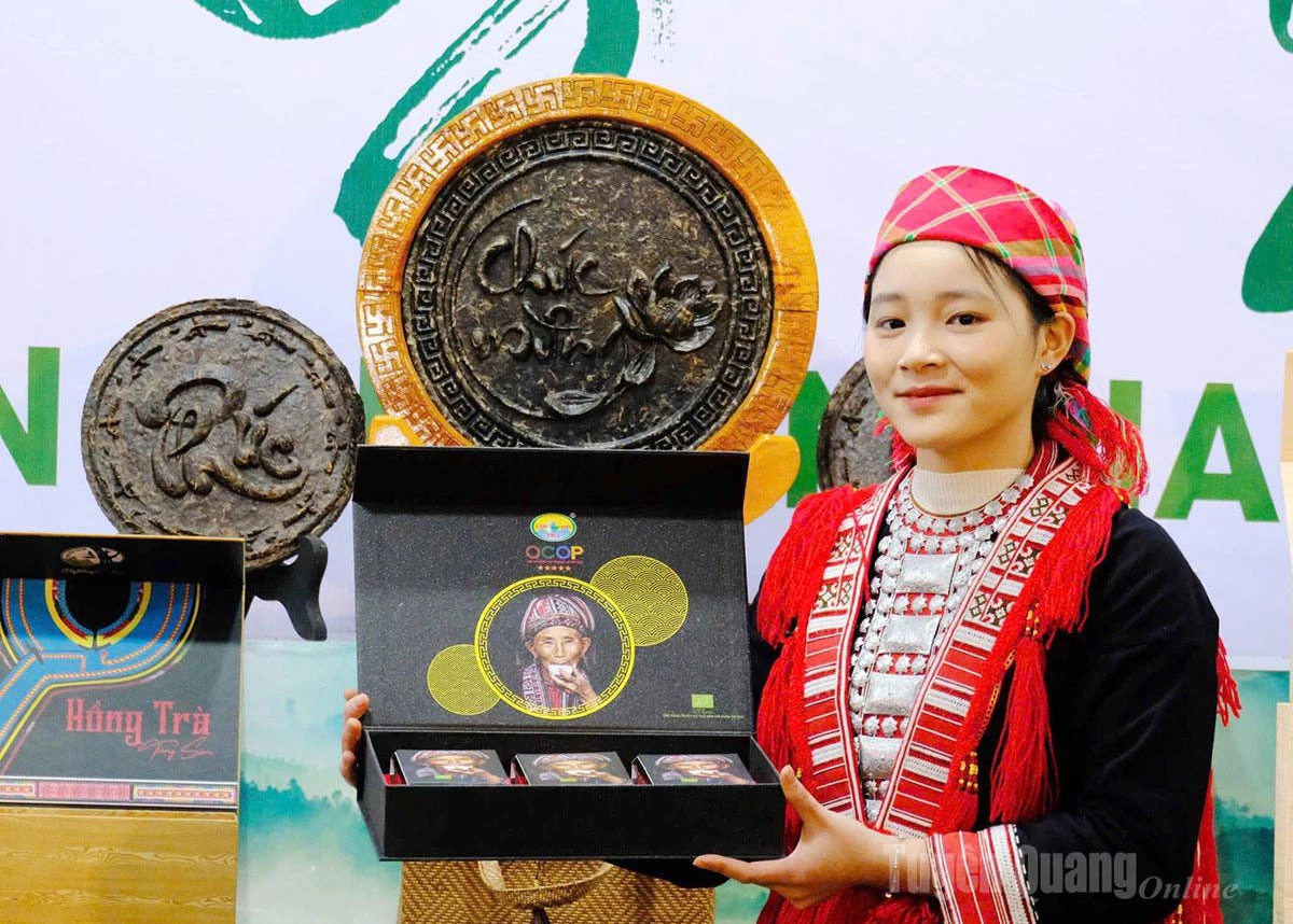 The Phin Ho Tea Processing Cooperative (Thong Nguyen commune) possesses two 5-star OCOP products.