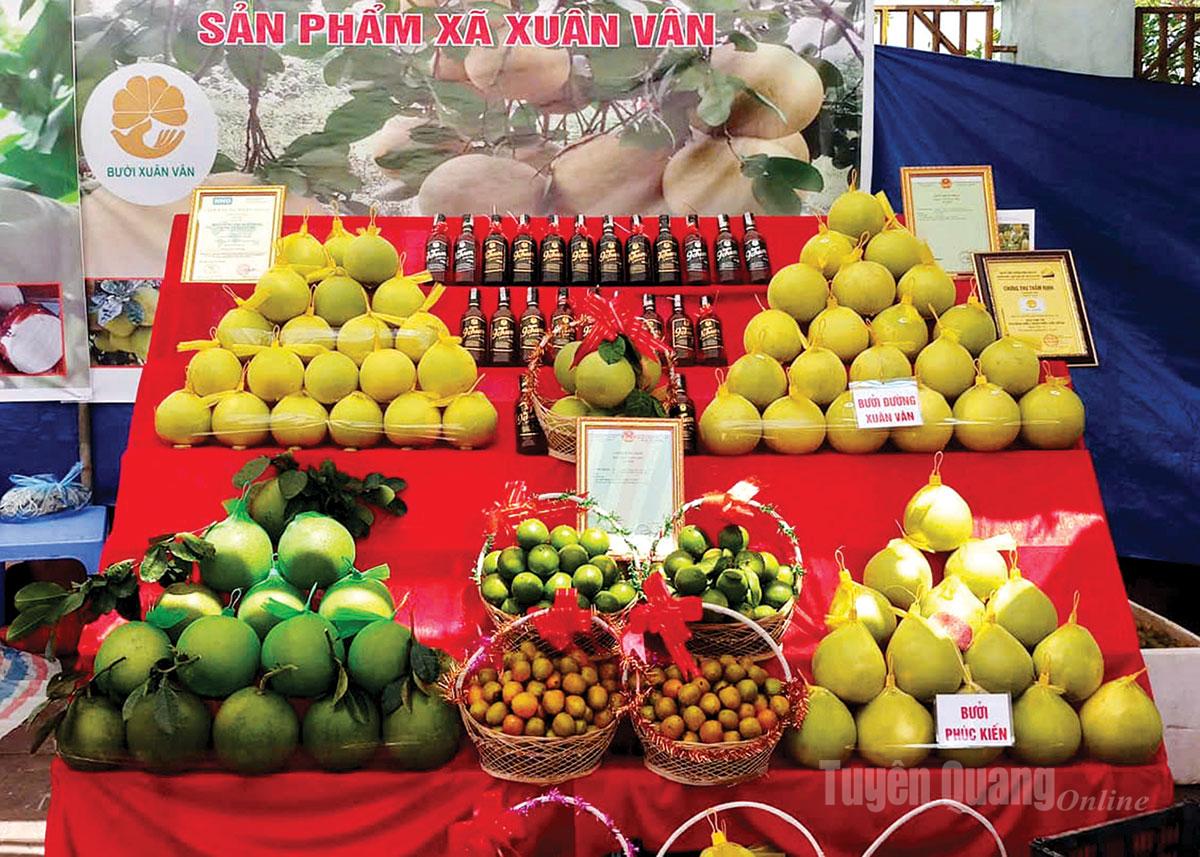Những trái cây mùa thu được trưng bày tại các gian hàng nông sản Tuyên Quang.
