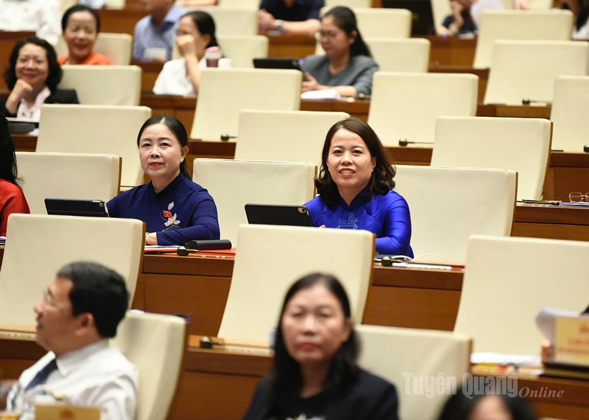 Đồng chí Lý Thị Lan, Ủy viên Ban Thường vụ Tỉnh ủy, Trưởng đoàn đại biểu Quốc hội chuyên trách tỉnh Tuyên Quang tham dự Hội nghị trực tiếp tại Nhà Quốc hội, Hà Nội.
