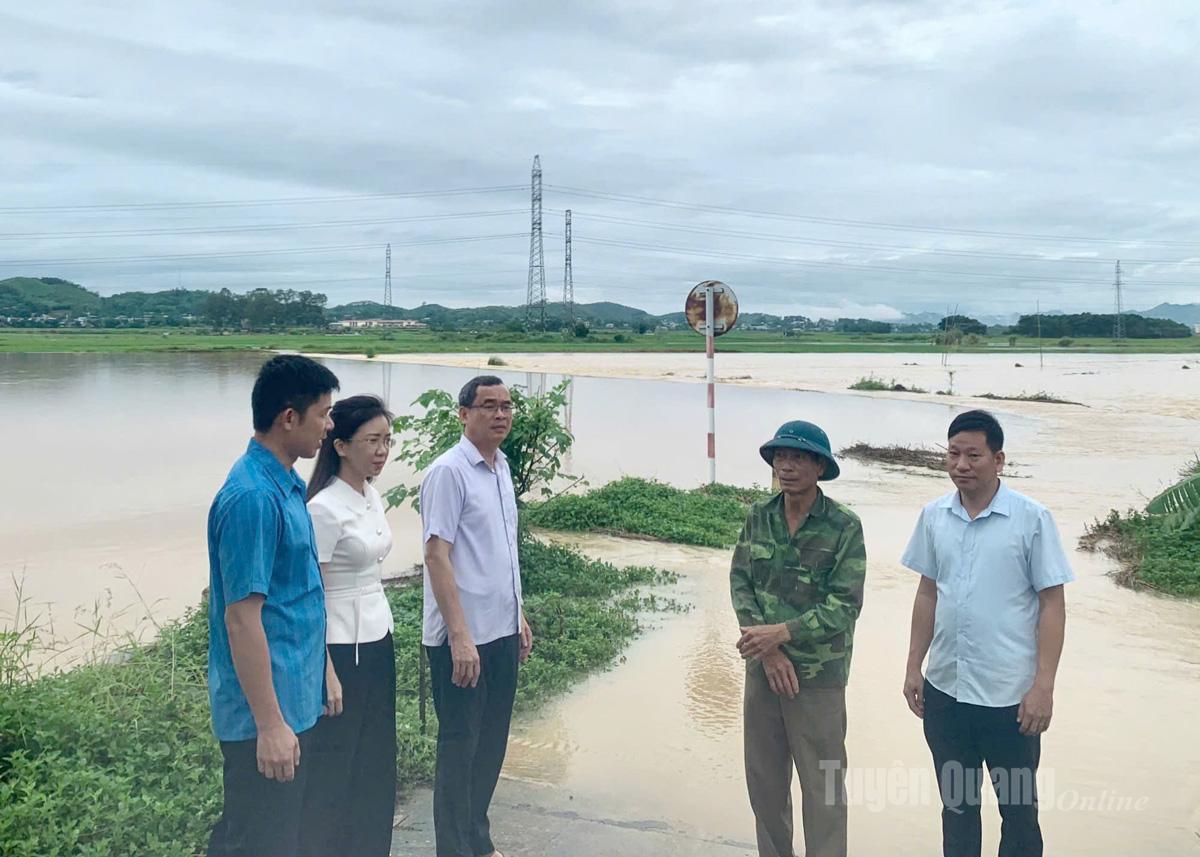 Lãnh đạo phường Mỹ Lâm kiểm tra, nắm tình hình tại khu vực bị ngập lụt ở Tổ dân phố Kim Phú 11, phường Mỹ Lâm. Ảnh: Thu Hương