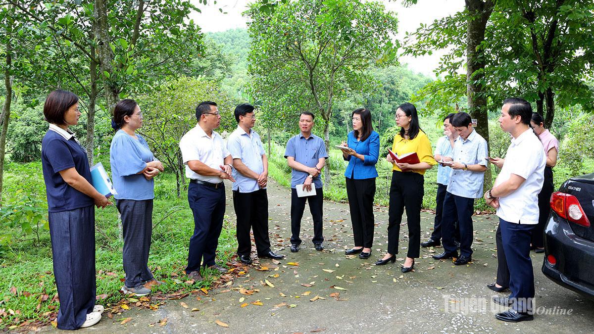 Thường trực Hội đồng nhân dân tỉnh giám sát việc thực hiện các quy định của pháp luật về quản lý, sử dụng đất và
giao đất, cho thuê đất đối với các tổ chức kinh tế trên địa bàn tỉnh Tuyên Quang giai đoạn 2021 - 2025 tại xã Sơn Thủy.