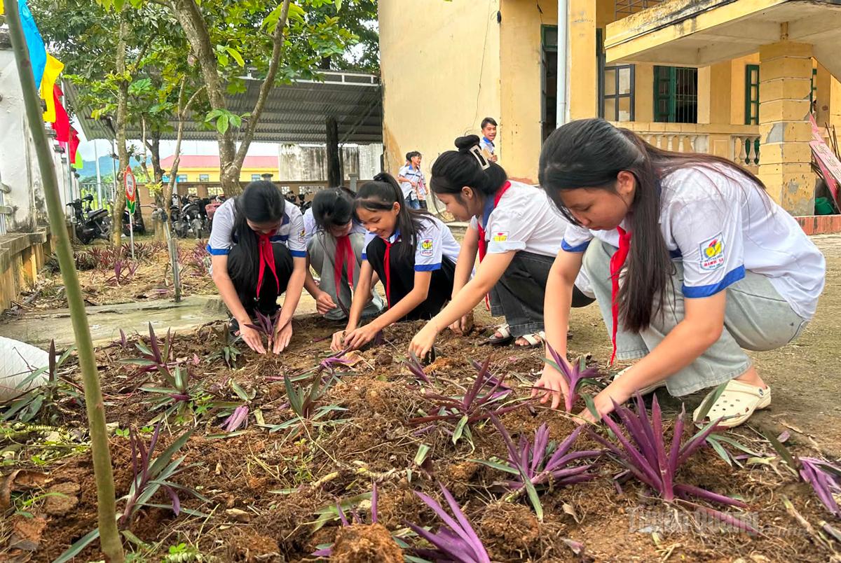 Học sinh Trường THCS Bình Xa chăm sóc cây xanh, chỉnh trang khuôn viên trường trước ngày khai giảng.