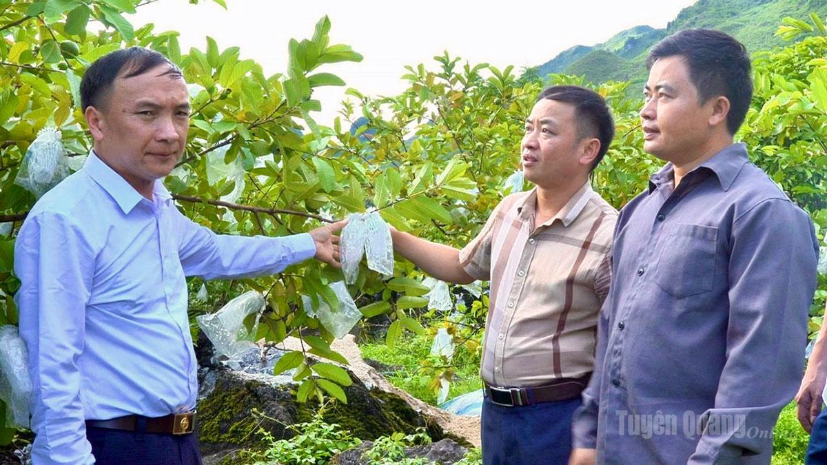 Lãnh đạo xã Lùng Tám thăm mô hình phát triển kinh tế trên địa bàn xã.