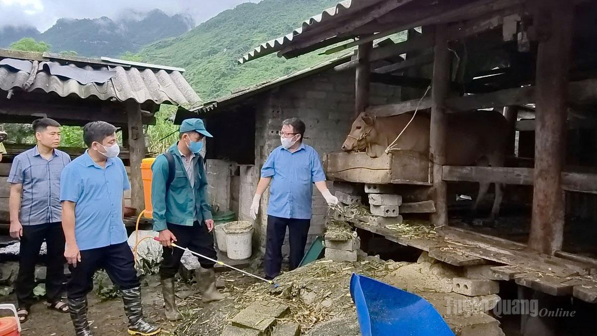 Cán bộ Sở Nông nghiệp và Môi trường kiểm tra tình hình thực tế và hướng dẫn người dân kỹ thuật vệ sinh tiêu độc, khử trùng tại xã Lùng Tám.