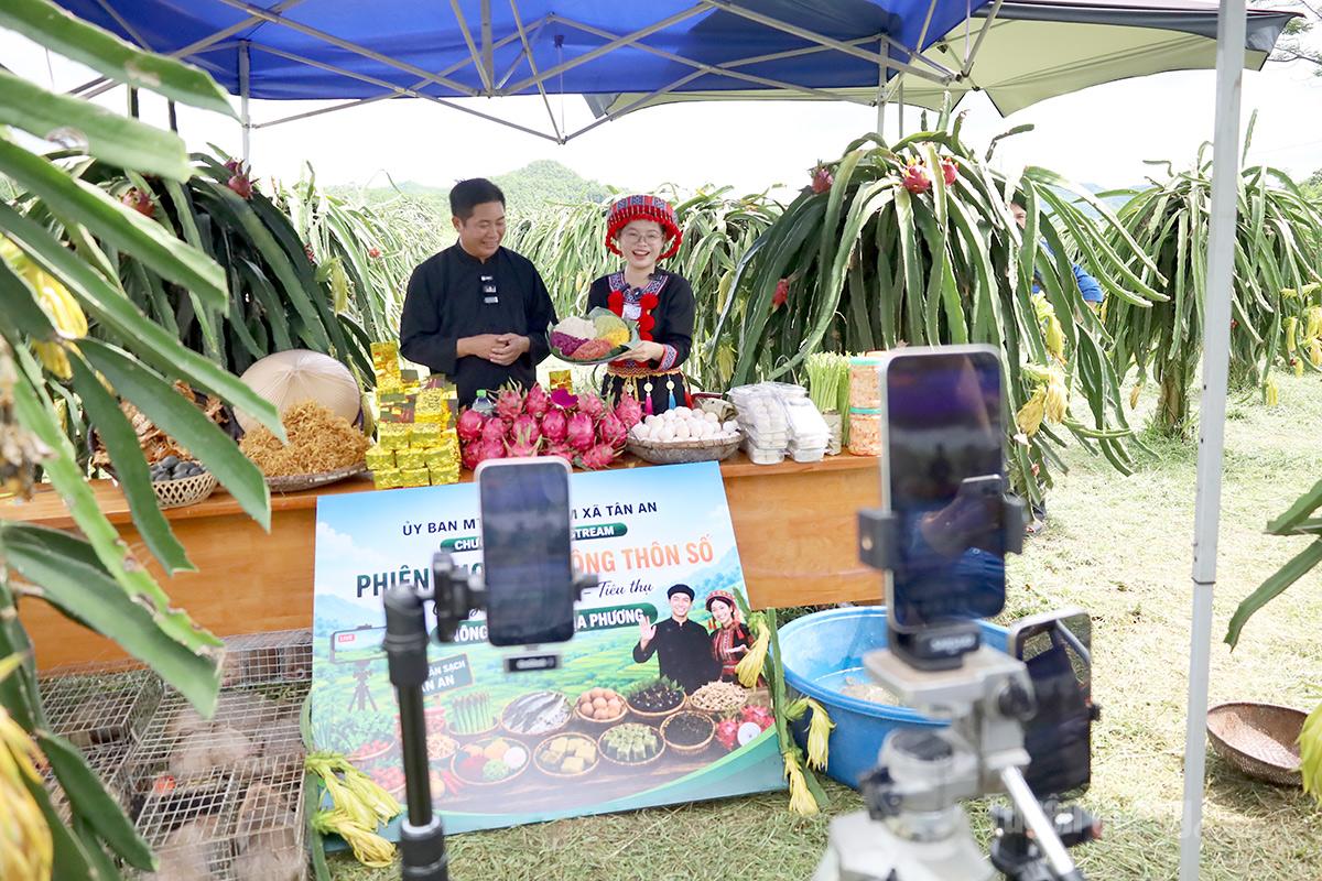 Thành viên “Câu lạc bộ Thanh niên số”, “Tổ hội Nông dân số” xã Tân An livestream giới thiệu nông sản địa phương.