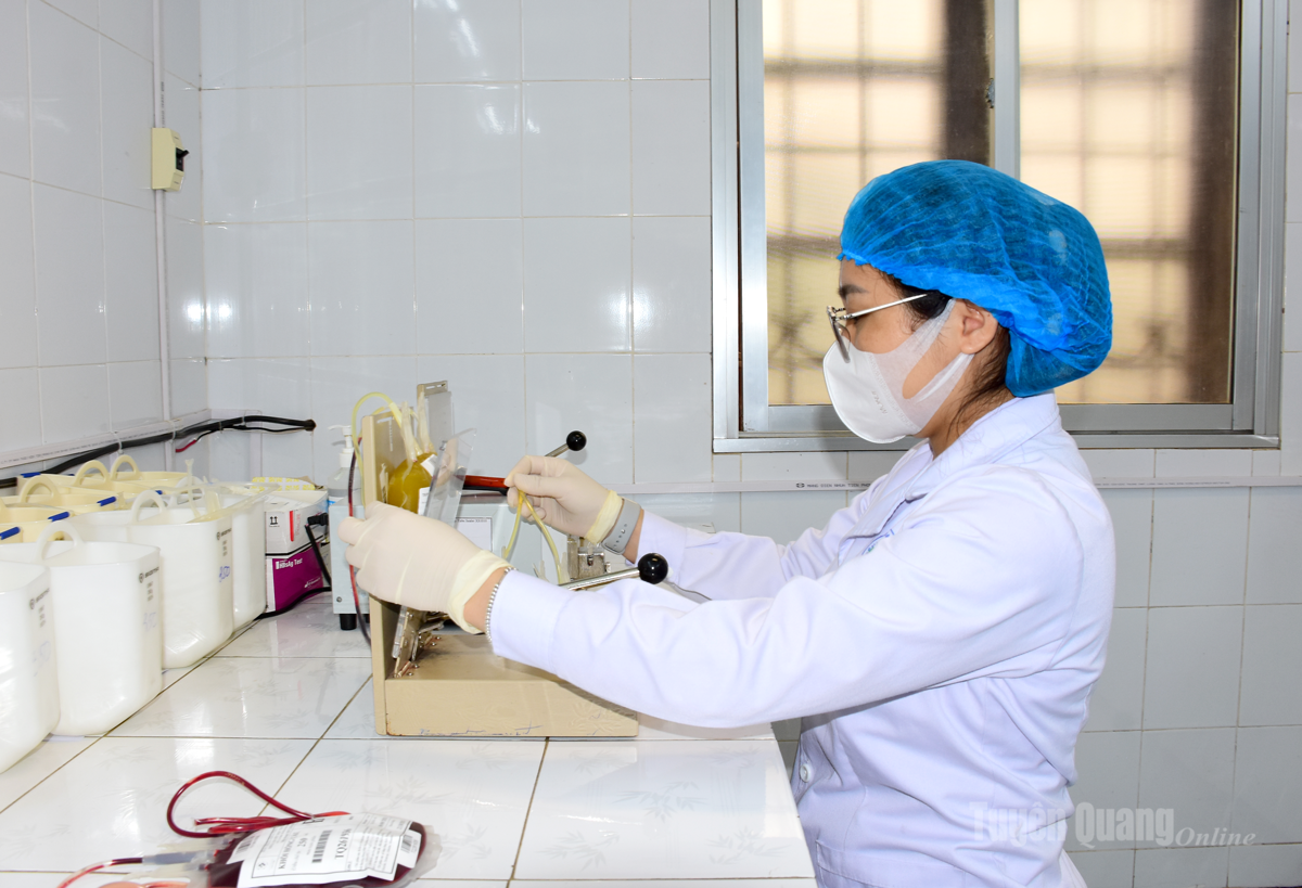 Kỹ thuật viên, khoa Huyết học - Truyền máu, Bệnh viện Đa khoa tỉnh thực hiện kỹ thuật sản xuất chế phẩm khối hồng cầu, huyết tương tươi đông lạnh theo tiêu chuẩn chất lượng.
