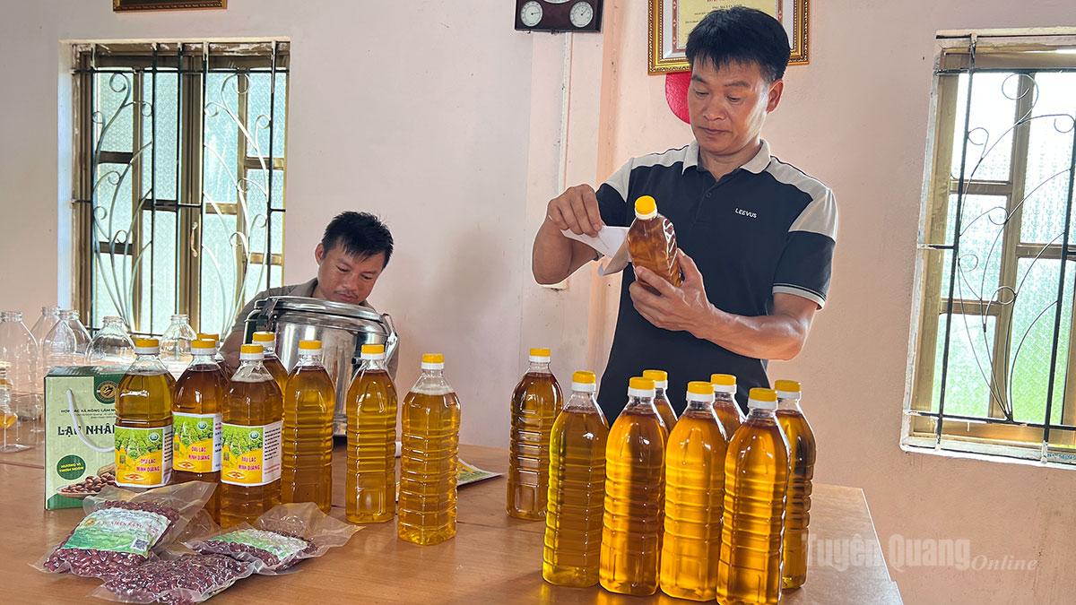 Từ nguồn vốn vay hỗ trợ nông dân, sản phẩm dầu lạc Minh Quang đã được nhiều người tiêu dùng biết đến.