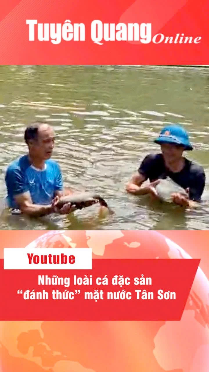 Những lo&agrave;i c&aacute; đặc sản &ldquo;đ&aacute;nh thức&rdquo; mặt nước T&acirc;n Sơn