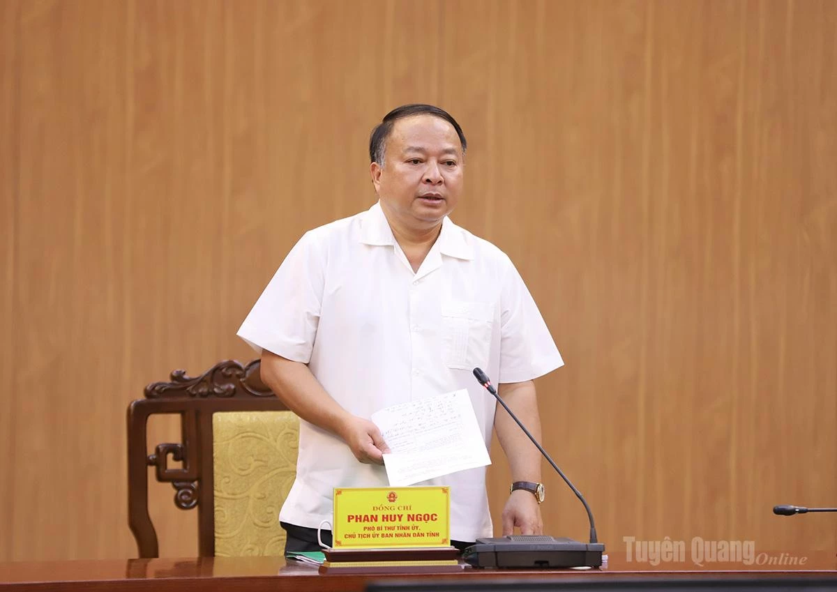Chủ tịch UBND tỉnh Phan Huy Ngọc kết luận cuộc họp.