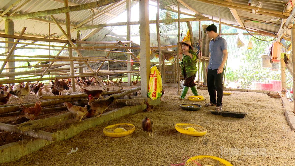 Đồng chí Ma Văn Khắp, Bí thư Đảng ủy, Chủ tịch HĐND xã Minh Quang đi thăm, kiểm tra một số mô hình phát triển kinh tế trên địa bàn xã.