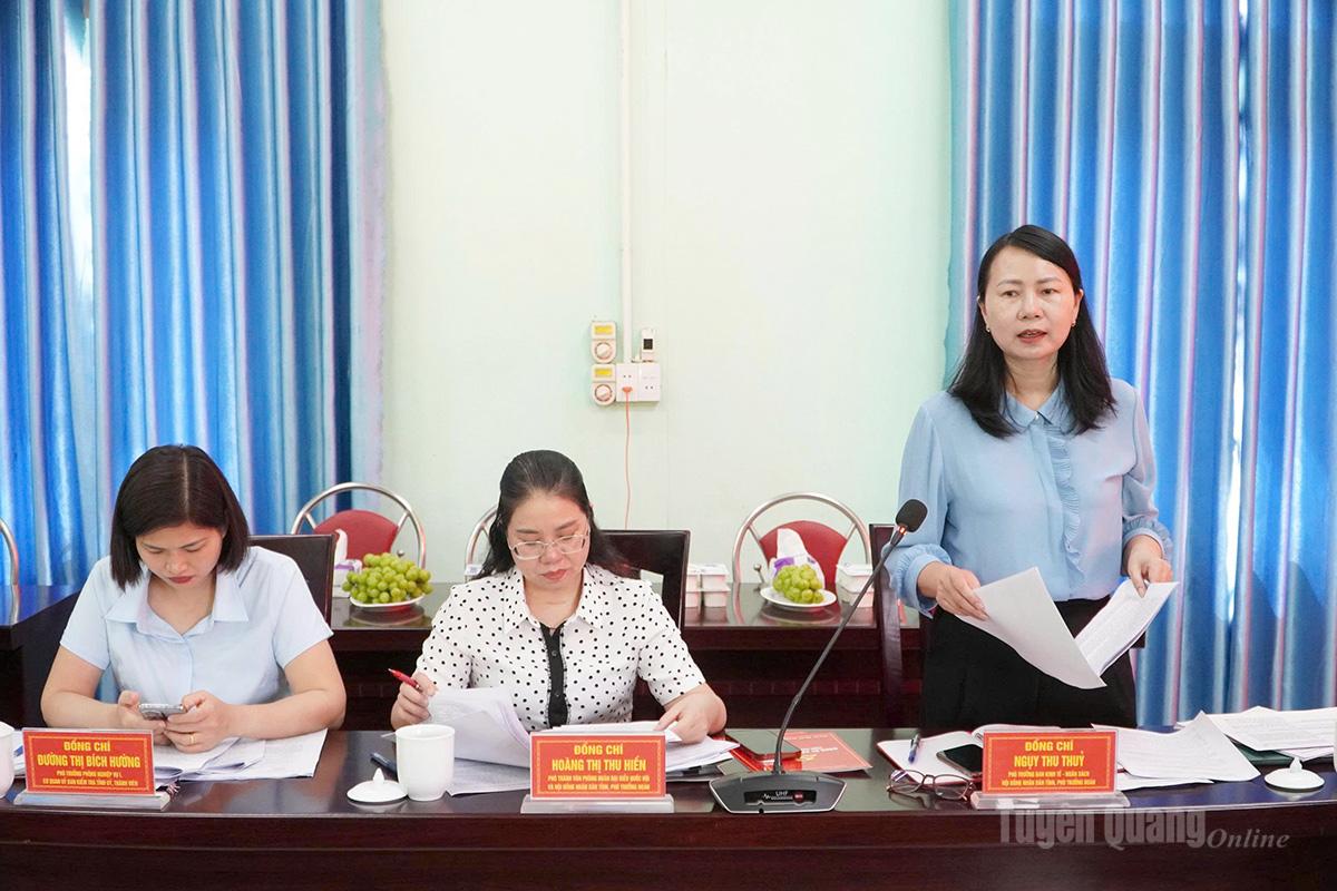 Thành viên Đoàn giám sát phát biểu tại buổi làm việc.