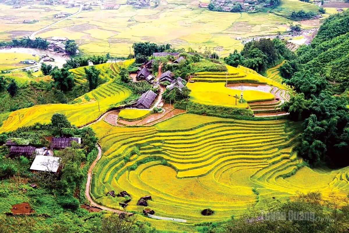 From the terraces, the promise of a bountiful season emerges in golden hues stretching across the mountains and forests.