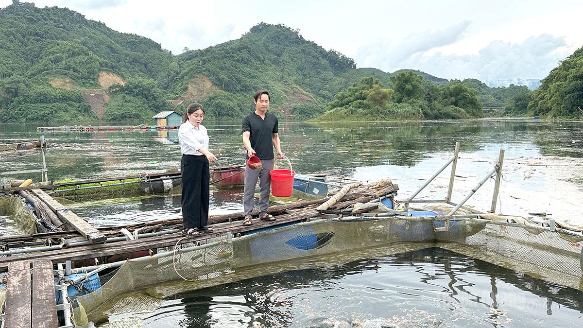 Tận dụng mặt nước của vùng lòng hồ Thụy điện Tuyên Quang, nông dân xã Hồng Thái đã phát triển nuôi cá lồng, mang lại giá trị kinh tế cao.
