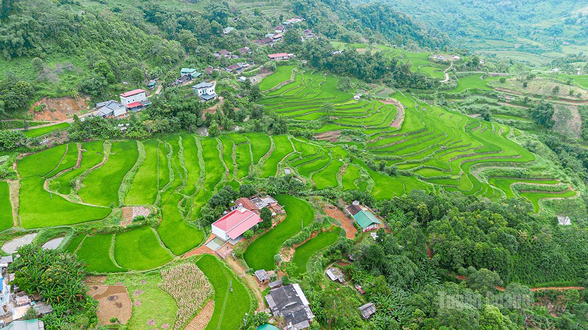 Điều kiện tự nhiên của thôn Khâu Tràng, xã Hồng Thái phù hợp để phát triển vững nguyên liệu làm thức ăn cho đàn ngựa.