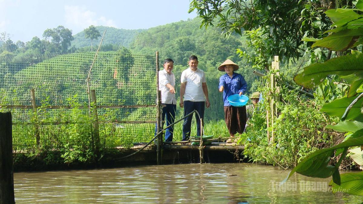 Chị Ma Thị Hoạ là điển hình làm kinh tế giỏi xã Minh Quang.