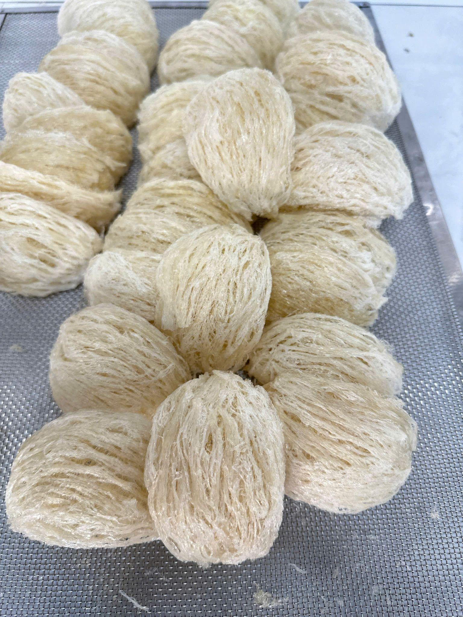 Những tổ yến được sấy lạnh bằng công nghệ hiện đại trước khi đóng gói.