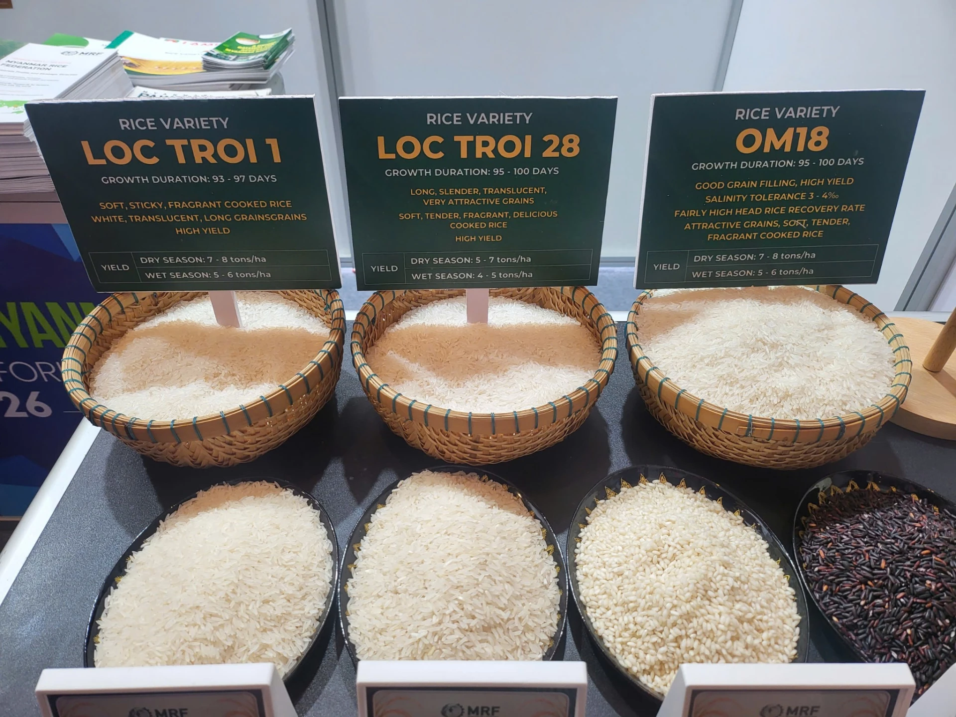 Mẫu gạo của 3 giống lúa Lộc Trời 1, Lộc Trời 28 và OM18 được trưng bày tại Diễn đàn. Ảnh: Tư liệu sự kiện