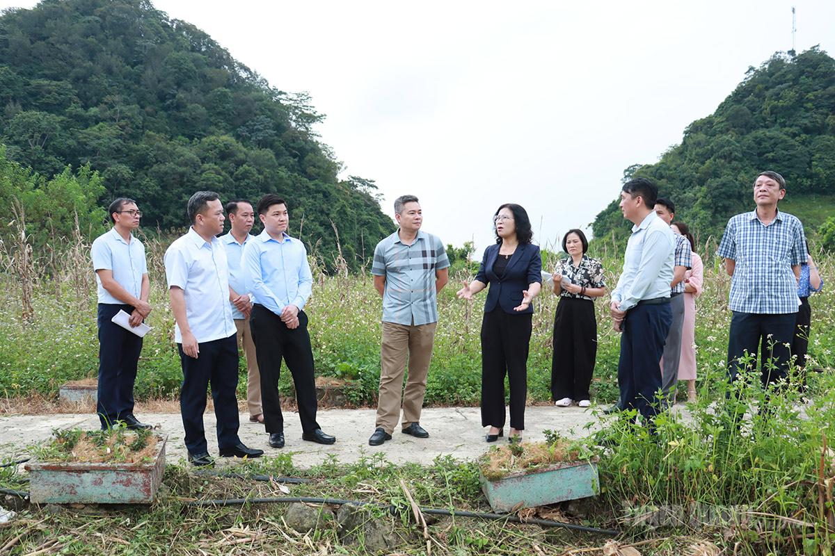 Phó Chủ tịch UBND tỉnh Đỗ Hùng Đức kiểm tra tiến độ chuẩn bị Lễ hội hoa Tam giác mạch tại xã Minh Tân, Quản Bạ và Yên Minh