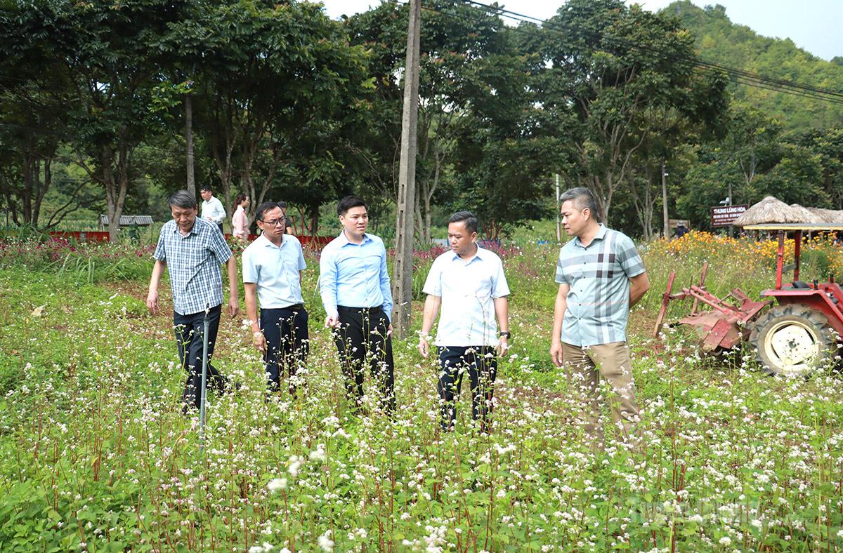 Đồng chí Đỗ Hùng Đức, Phó Chủ tịch UBND tỉnh khảo sát điểm du lịch Thung lũng hoa Núi đôi, xã Quản Bạ.