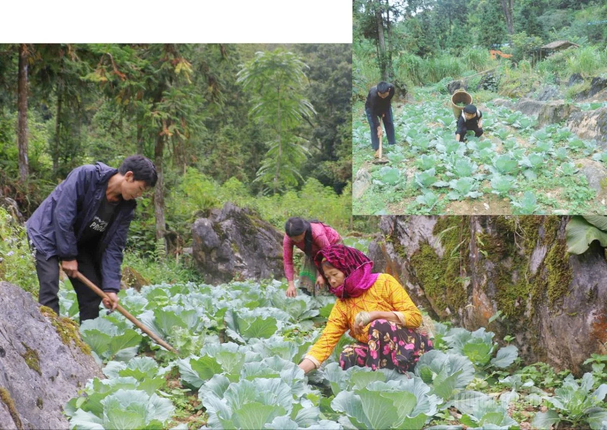 Most villagers live and carry out their daily activities largely through a self-sufficient way of life.