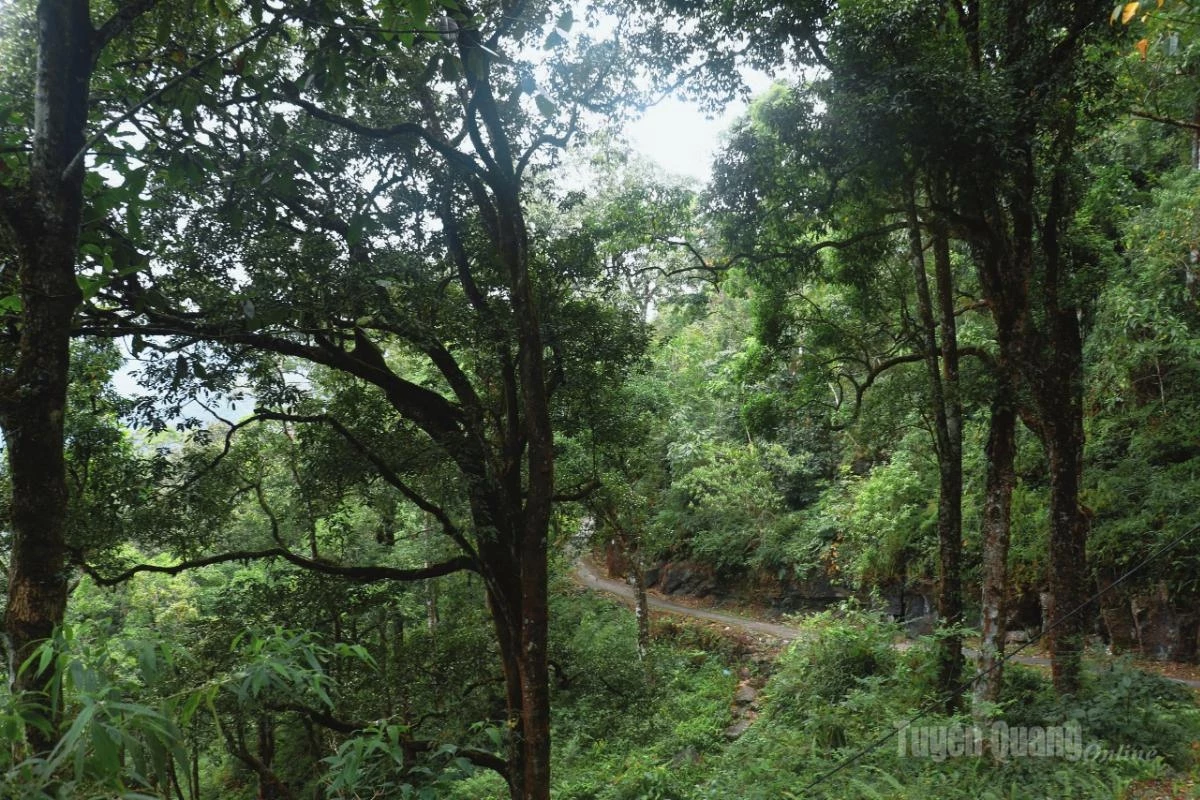 After the road accessible by car comes to an end, visitors must continue for more than one kilometer by motorbike along a narrow, steep concrete road before reaching Sao Ha Village.
