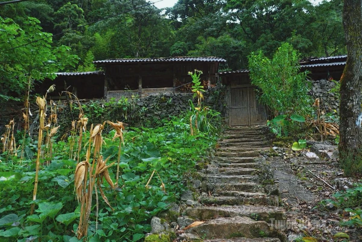 The village is home to 18 households, comprising 22 houses and 116 people from the Hmong ethnic community. All the villagers share the surname Vang.