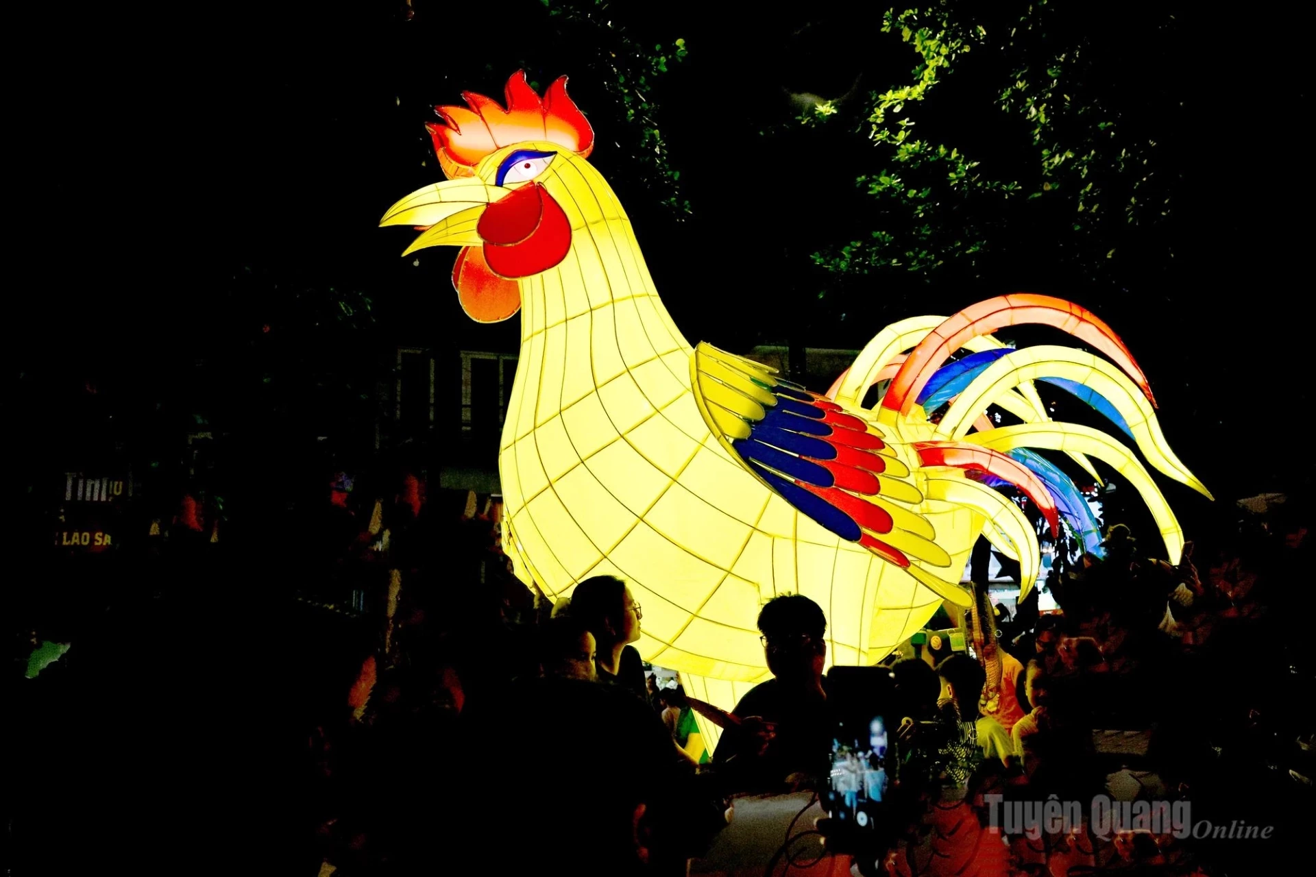 A rooster model.