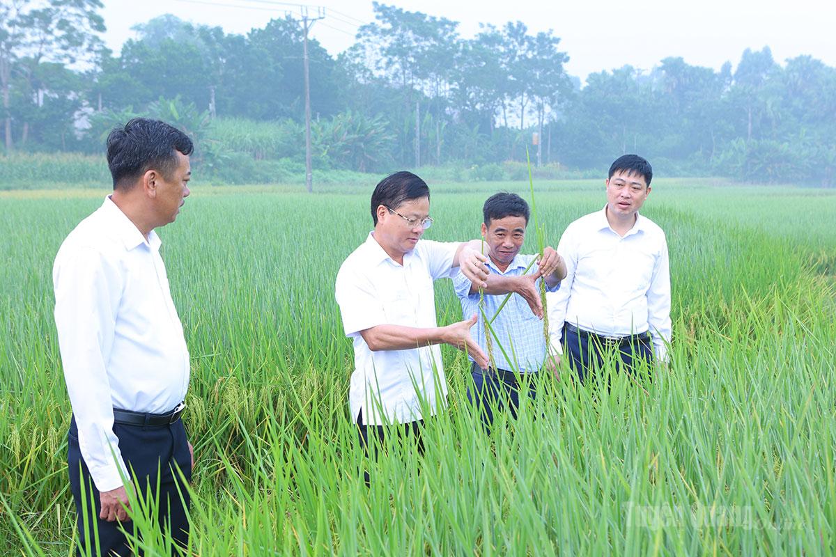 Quyết t&acirc;m ho&agrave;n th&agrave;nh thắng lợi c&aacute;c mục ti&ecirc;u, nhiệm vụ qu&yacute; IV