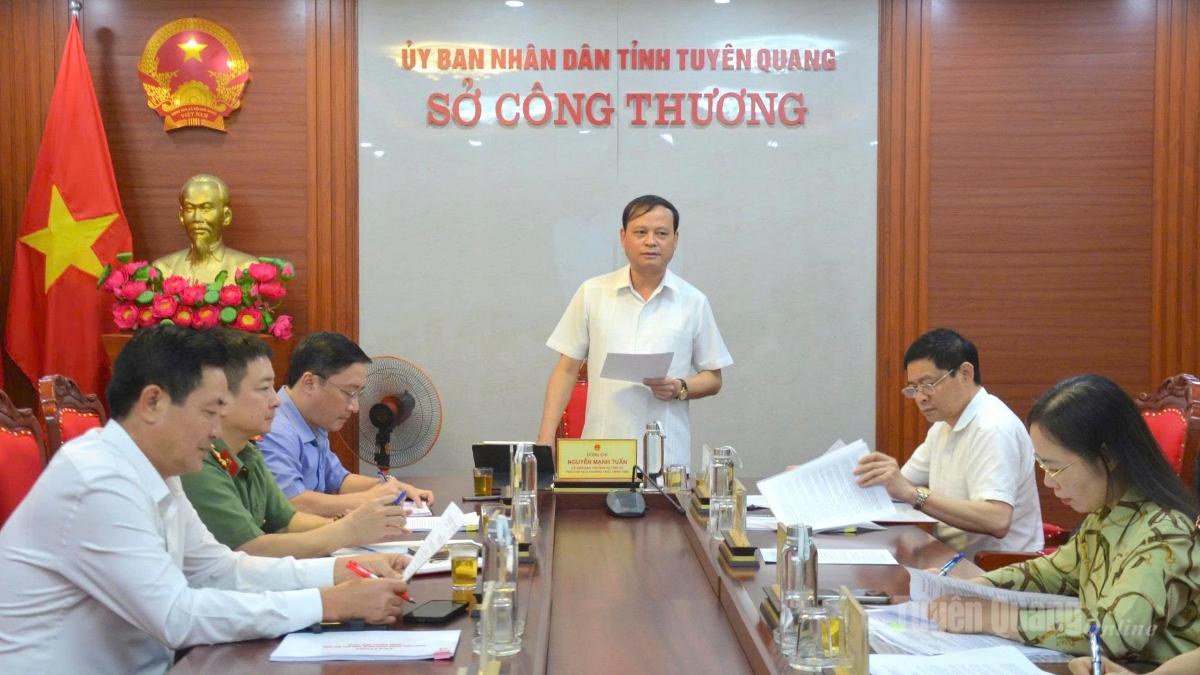 , Đồng chí Nguyễn Mạnh Tuấn, Ủy viên Ban Thường vụ Tỉnh ủy, Phó Chủ tịch Thường trực UBND tỉnh phát biểu tại buổi làm việc.