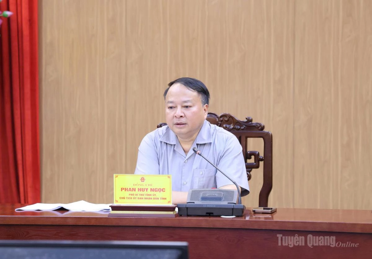 Đồng chí Phan Huy Ngọc, Phó Bí thư Tỉnh ủy, Chủ tịch UBND tỉnh chủ trì cuộc họp.