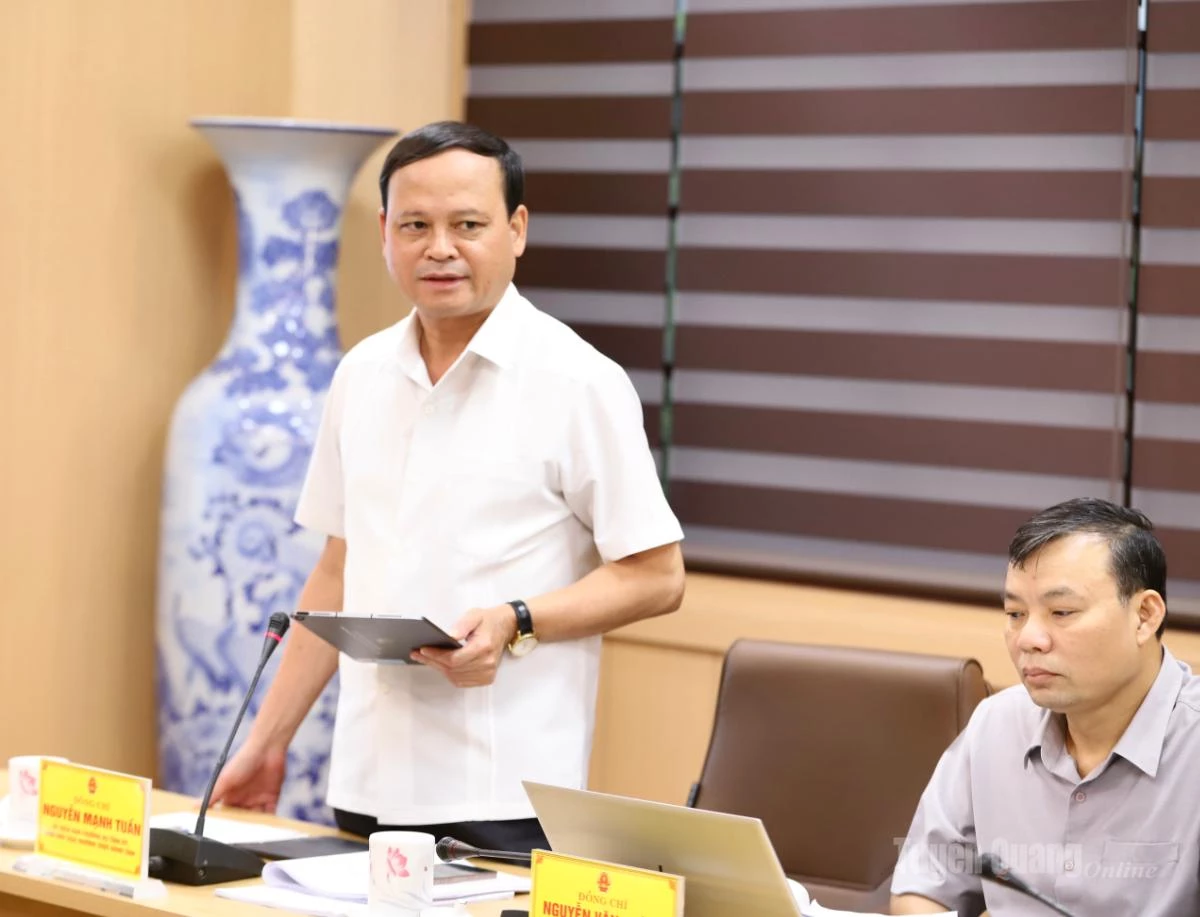 Phó Chủ tịch Thường trực UBND tỉnh Nguyễn Mạnh Tuấn phát biểu tại buổi làm việc.