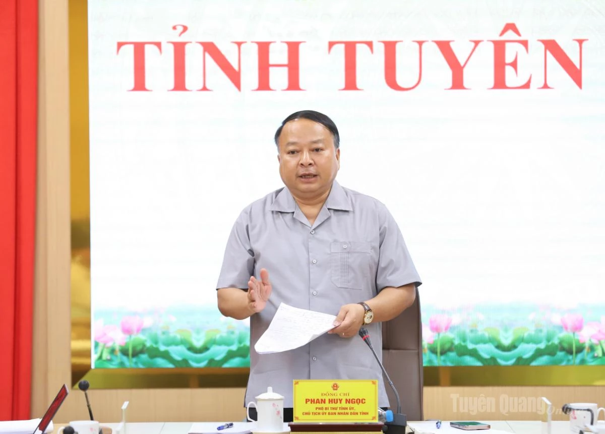 Chủ tịch UBND tỉnh Phan Huy Ngọc phát biểu kết luận buổi làm việc.