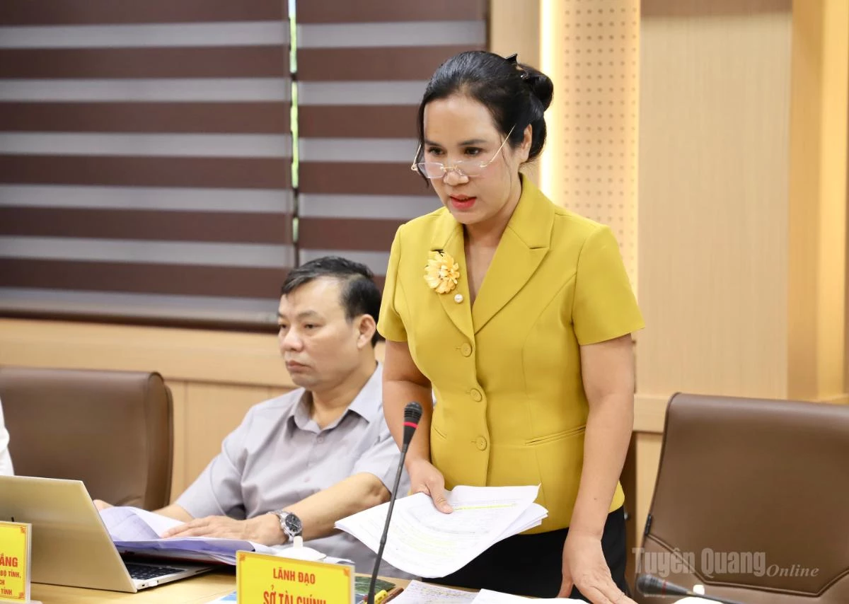 Giám đốc Sở Tài chính Phạm Kiều Vân báo cáo tổng hợp tiến độ giải ngân các nguồn vốn.