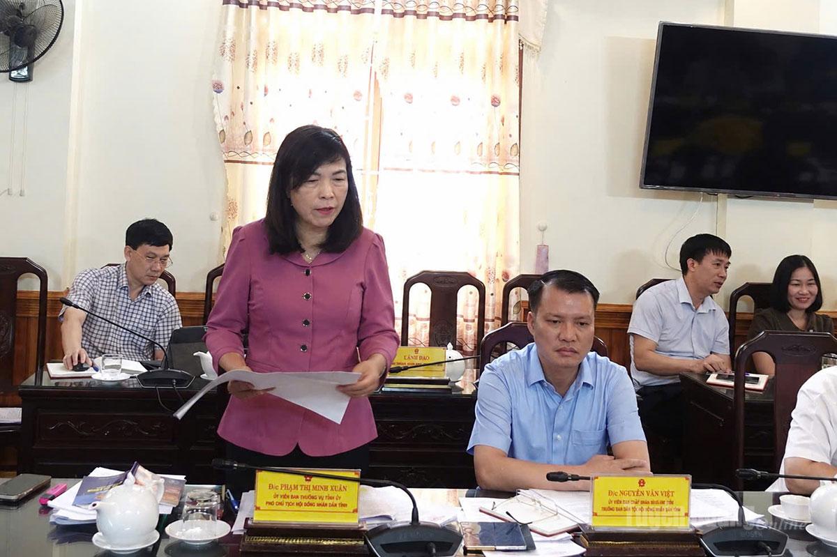 Đồng chí Phó Chủ tịch HĐND tỉnh Phạm Thị Minh Xuân cho ý kiến tại phiên họp.