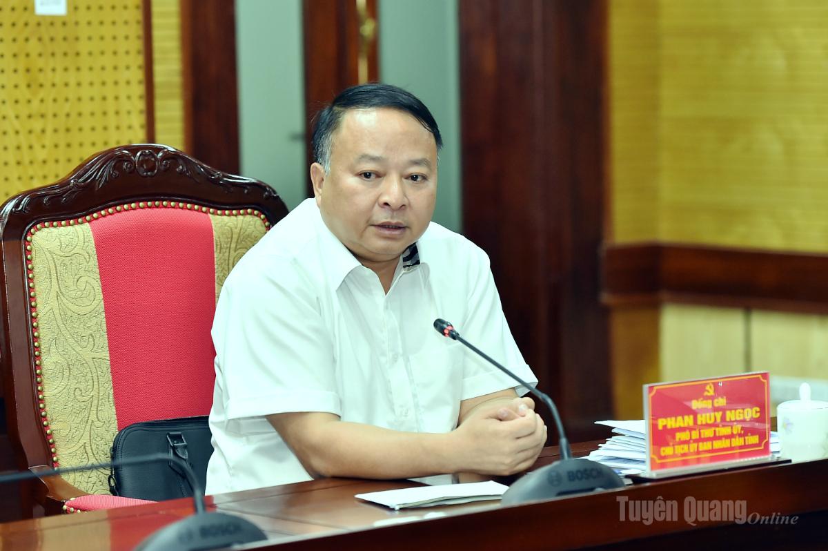 Đồng chí Phó Bí thư Tinh ủy, Chủ tịch UBND tỉnh Phan Huy Ngọc phát biểu tại cuộc họp.